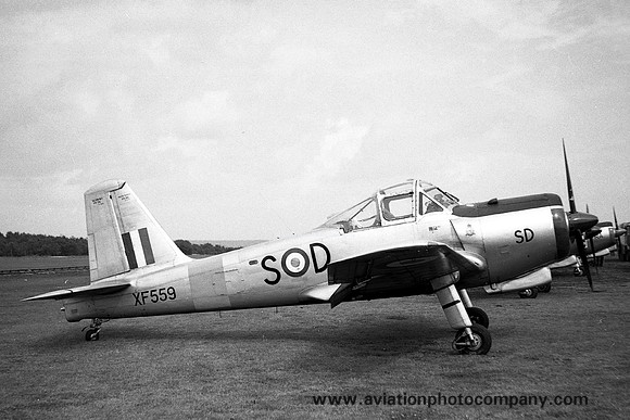 RAF 1 FTS Percival Provost T.1 XF559/S-D (1956)