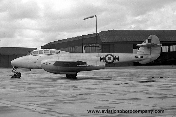 RAF 504 Squadron Gloster Meteor T.7 WA610/TM-M