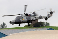 Wildcat (Agusta Westland)