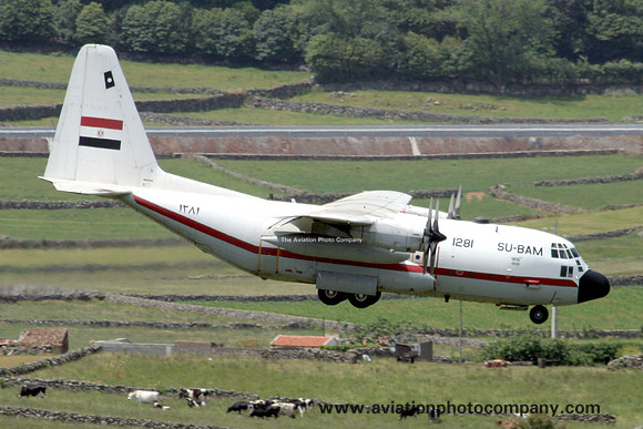 Egyptian Air Force Lockheed VC-130H Hercules 1281/SU-BAM at Lajes (2009)