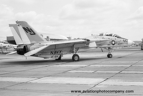 US Navy VF-124 Grumman F-14A Tomcat 159443/NJ-447 (1975)