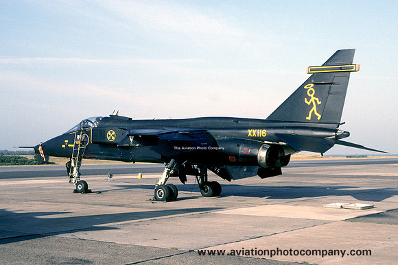 RAF 16 Squadron Sepecat Jaguar GR.1 XX116 (1994)