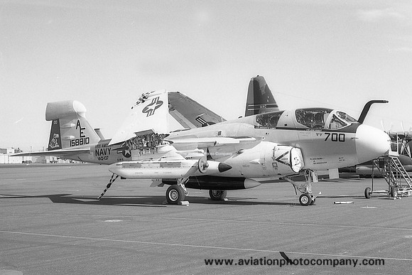 US Navy VAQ-137 Grumman EA-6B Prowler 158810/AE-700 (1978)