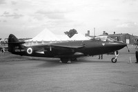 Royal Navy FRU Hawker Sea Hawk FGA.6 XE390 (1966)