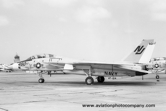 US Navy VF-124 Grumman F-14A Tomcat 159453/NJ-460 (1975)