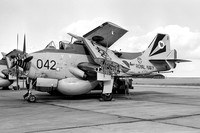 Royal Navy 849 Squadron Fairey Gannet AEW.3 XL450/R042 at RAF Lossiemouth (1975)