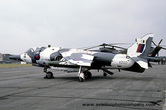 RAF 1 Squadron HS Harrier GR.3 XZ133/10 (1987)