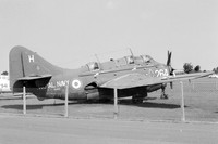Royal Navy Fairey Gannet COD.4 XA454 at the FAA Museum (1971)