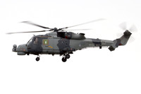 Royal Navy Agusta Westland Wildcat HMA.2 ZZ517 at Prestwick (2024)