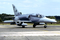 Czech Air Force 212 TL Aero L-159A 6068 (2005)