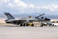 NASA Grumman F-14A Tomcat 157991/NASA991 (1980)