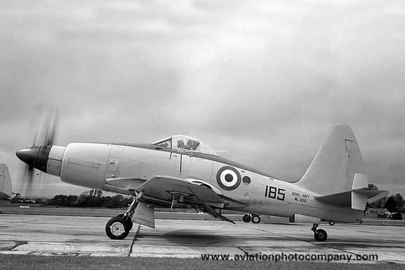 Royal Navy 813 Squadron Westland Wyvern S.4 WL879/185 (1954)