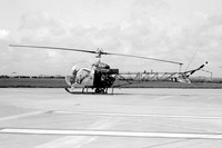 Army Air Corps Blue Eagles Westland Sioux AH.1 XT206 (1975)