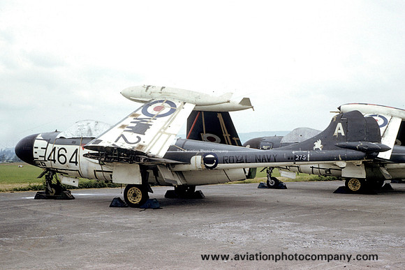 Royal Navy 893 Squadron De Havilland Sea Venom FAW.21 WW273/A464