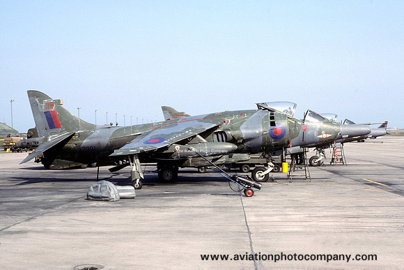 RAF 1 Squadron Hawker Siddeley Harrier GR.3 XZ991/07 (1984)