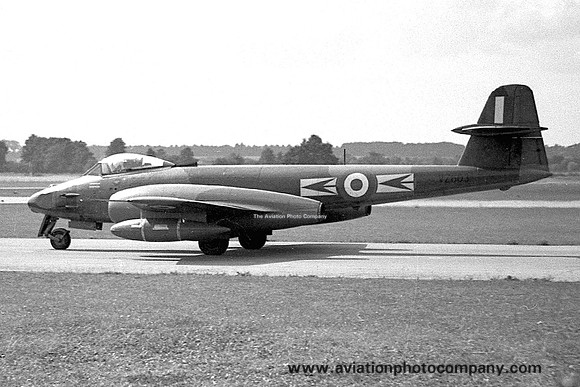 RAF 79 Squadron Gloster Meteor FR.9 VZ503/M (1956)