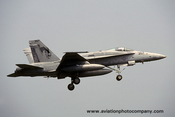 US Navy VFA-192 McDonnell Douglas F/A-18C Hornet 164962/NF-307 (2002)