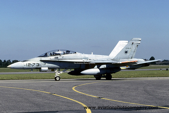 Spanish Air Force Ala 12 McDonnell Douglas EF-18B Hornet CE.15-10/12-73 at RAF Waddington (2003)