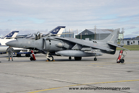 Italian Navy McDonnell Douglas AV-8B Harrier MM7224/19 (2003)