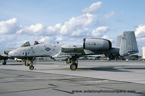 USAF Michigan ANG 172 FS Fairchild A-10A Thunderbolt 80-0265/MI (2001)