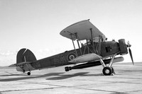 Royal Navy Fairey Swordfish LS326