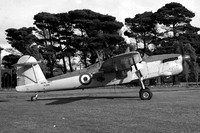 Royal Navy Fairey Barracuda TR.2 RJ905 (1950)