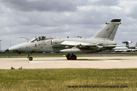 Italian Air Force 51 Stormo Aeritalia AMX MM7145/51-44 at RAF Waddington (2004)