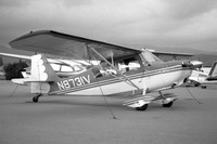 Bellanca Types