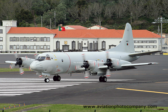 Portuguese Air Force Esq 601 Lockheed P-3C Orion 14810 at Lajes (2009)