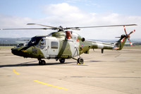 Army Air Corps 659 Squadron Westland Lynx AH.9 ZG923 (2000)