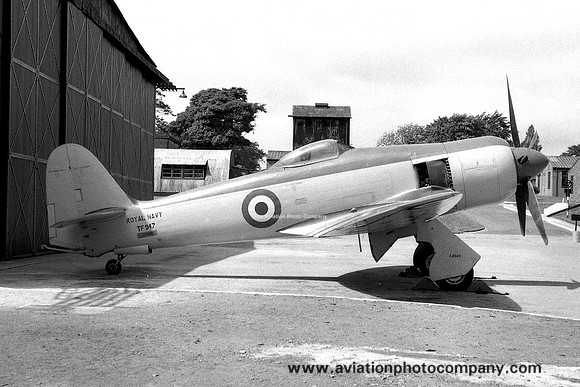 Royal Navy AES Arbroath Hawker Sea Fury T.10 TF947 (1959)