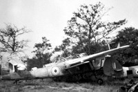 Barracuda (Fairey)