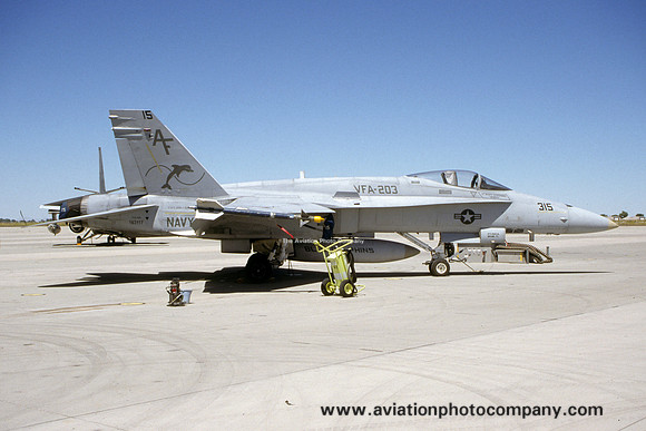 US Navy VFA-203 McDonnell Douglas F/A-18A Hornet 163117/AF-315 (2000)