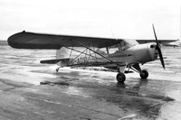 Taylorcraft Auster AOP.V/M G-AOSL (1957)
