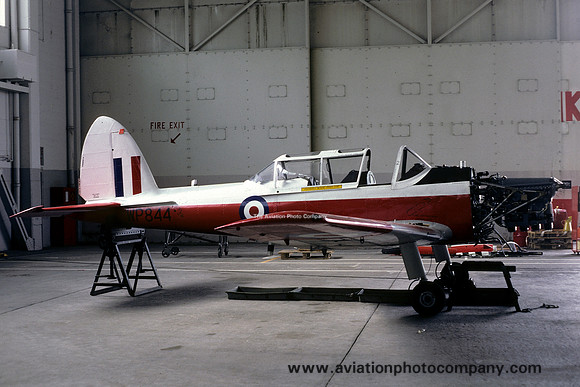 RAF 10 AEF DHC-1 Chipmunk T.10 WP844 (1987)