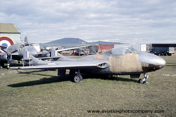 RAF De Havilland Vampire T.11 XD613 displayaed at Montelimar (2000)