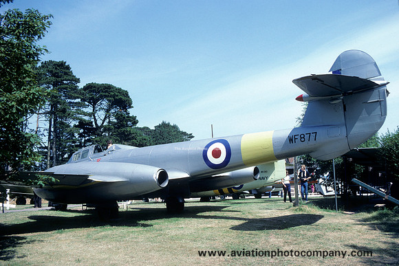 RAF Gloster Meteor T.7 WF877 at the Torbay Museum (1983)