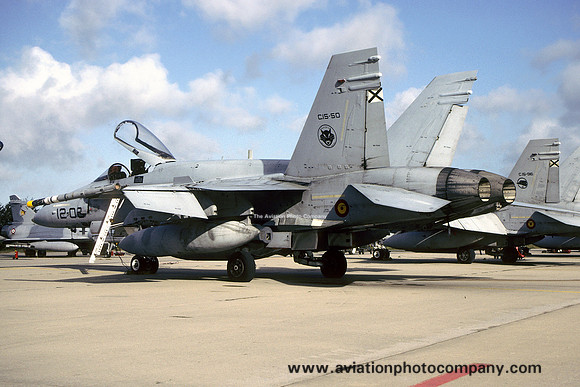 Spanish Air Force Ala 12 McDonnell Douglas EF-18M Hornet C.15-50/12-08 at Florennes (2004)