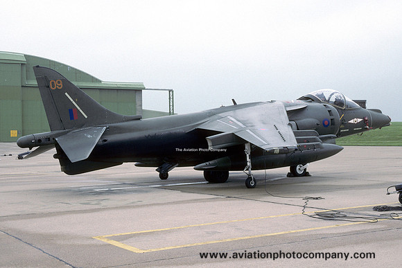RAF 1 Squadron BAE Harrier GR.7 ZD463/09 (1994)