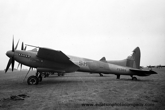 RAF 64 Squadron De Havilland Hornet F.3 PX369/SH-B