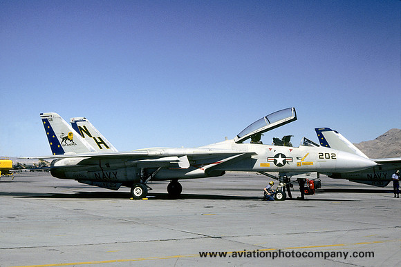 US Navy VF-213 Grumman F-14A Tomcat 159861/NH-202 (1980)