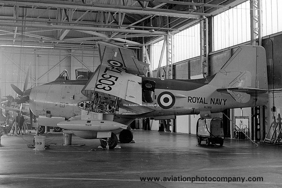 Royal Navy Fairey Gannet AEW.3 XL503 (1972)
