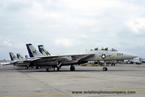 US Navy VF-213 Grumman F-14A Tomcat 159867/NH-204 (1978)