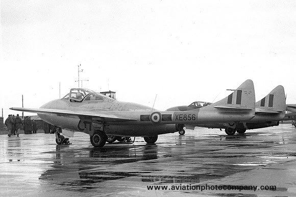 RAF 219 Squadron De Havilland Vampire T.11 XE856