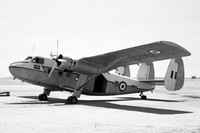 RAF 152 Squadron Scottish Aviation Twin Pioneer CC.1 XM959 (1966)