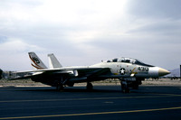 US Navy VF-124 Grumman F-14A Tomcat 160662/NJ-430 (1980)