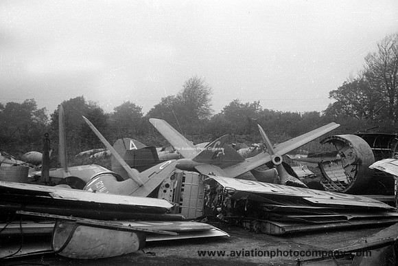 Royal Navy Hawker Sea Hawks at Lasham