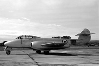 Royal Navy 813 Squadron Gloster Meteor T.7 WL335/293 (1953)