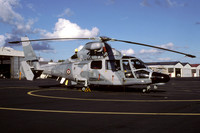 French Navy 36F Aerospatiale AS.565SA Panther 488 (2000)
