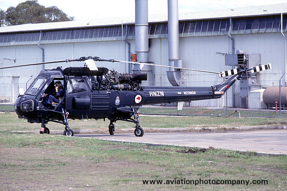 Royal New Zealand Navy 3 Squadron Westland Wasp HAS.1 NZ3908 (1986)